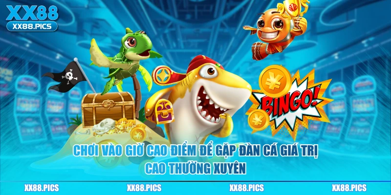 Chơi vào giờ cao điểm để gặp đàn cá giá trị cao thường xuyên