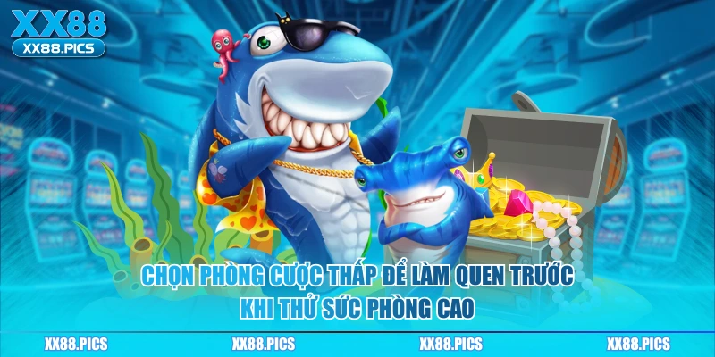 Chọn phòng cược thấp để làm quen trước khi thử sức phòng cao
